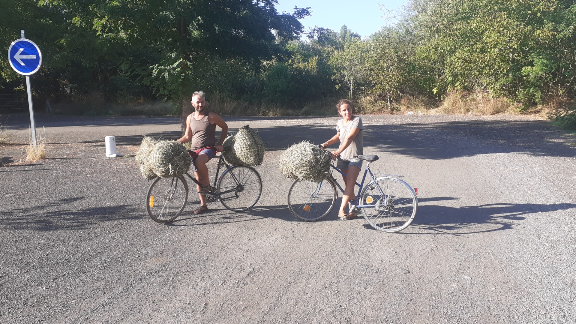 Transport de foin avec nos super vélos ! Jusqu'à 12 kilos de foin par vélo ! Malgré la sécheresse nous trouvons facilement. 